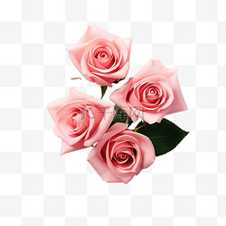 切口的红柚图片_带有切口的孤立白色背景上的粉红