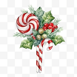手绘手杖糖图片_圣诞冬青花束与棒棒糖和糖果手杖