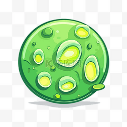 液泡剪贴画细胞中的绿色细菌矢量