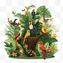 热带鸟卡通图片_雨林动物 向量