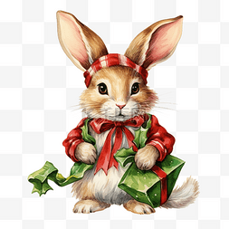 贺卡新年图片_经典圣诞颜色红色和绿色的圣诞兔