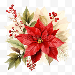 八角手绘图片_圣诞节水彩组合物与一品红和红色