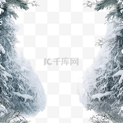 寒冷的冬天图片_有雪冷杉树枝的冬天多雪的森林