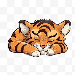 睡觉的老虎可爱的动物