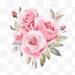 绽放的玫瑰图片_粉红色柔和的水彩玫瑰花花束排列
