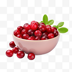 球菌图片_新鲜蔓越莓或氧球菌蔓越莓富含维