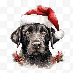 贺卡狗图片_亲爱的圣诞老人不要忘记狗的设计