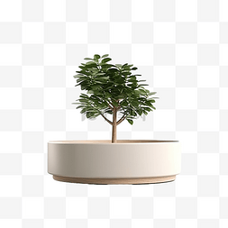 产品精修空间图图片_3D 渲染的圆柱讲台与树完美适合产