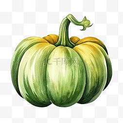 蔬菜標誌图片_水彩绿色南瓜手绘插画秋收元素万