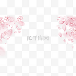 樱花花瓣粉色边框