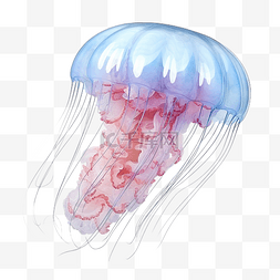 水母的 3d 插图