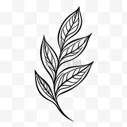 植物叶子涂鸦