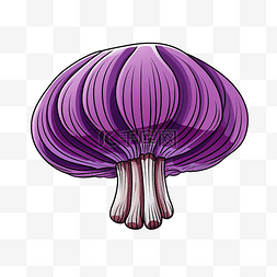 带线条的紫色蘑菇