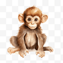 可爱的猴子素材图片_猴子水彩剪贴画