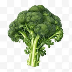 有蔬菜的插图背景图片_西兰花蔬菜数字插图