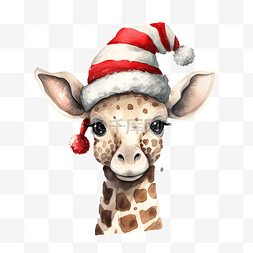 圣诞节可爱的长颈鹿，配有水彩插