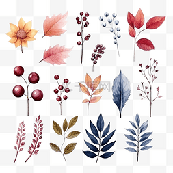 手绘秋天的花朵图片_水彩画集秋天的花朵叶子和浆果