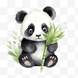 熊猫森林图片_水彩熊猫卡通