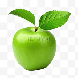 夹子剪贴画图片_苹果果实与绿叶