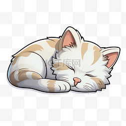 睡觉的搞笑猫贴纸