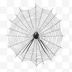蜘蛛网背景图片_黑蜘蛛网