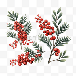 圆形圣诞边框图片_手绘红色浆果和冷杉树枝