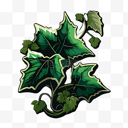绿色常春藤纹身设计的装饰植物图