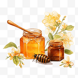 水彩蜂蜜剪贴画