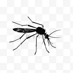 弯弯的尾巴图片_孤立的蚊子剪影