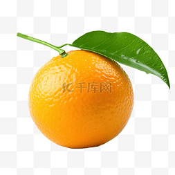 一个橘子与孤立的绿叶