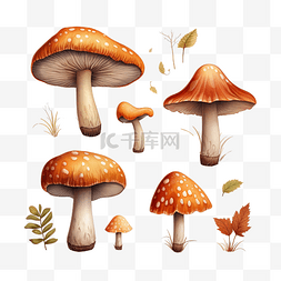 秋季设置蘑菇