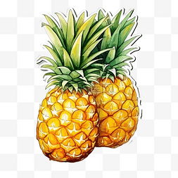 童年贴纸图片_可爱的菠萝水果文具贴纸油画