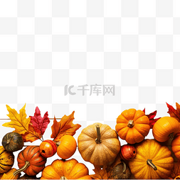 上落图片_秋天和感恩节边界的彩色叶子和南