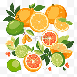 柑橘类水果图片_柑橘剪贴画许多带有叶子和叶子的