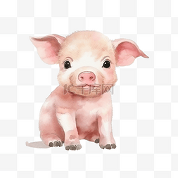 水彩可爱的小猪