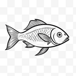海洋活鱼图片_简单画的鱼隔离