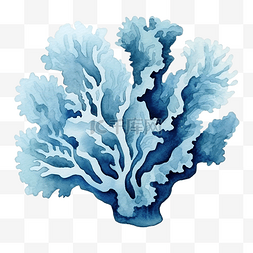 水彩珊瑚剪贴画蓝色