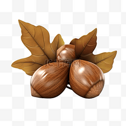 坚果植物图片_感恩节对象橡木坚果 3d 插图