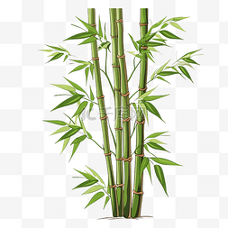 竹树图