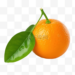 一个橘子与孤立的绿叶
