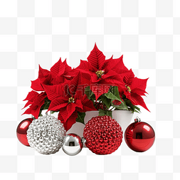 一品红花盆图片_木桌上有圣诞球的美丽一品红
