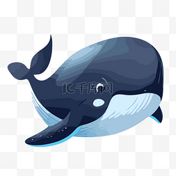 鲸鱼喷水柱图片_自由鲸