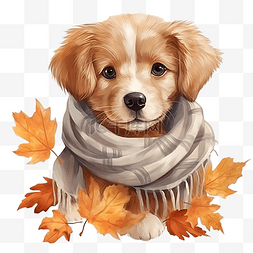 猫狗形象图片_可爱的小狗围巾水彩插图你好秋天