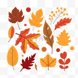 叶子秋天剪贴画秋天的树叶设置平