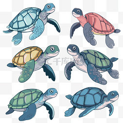 海龟剪贴画 六只不同颜色卡通海
