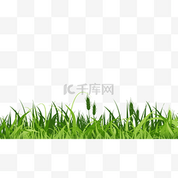 美化图片_青草地边框绿色植物