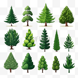 卡通松树植物元素集合松树或圣诞