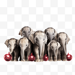 快乐地图片_一群可爱的小象快乐地等待着圣诞