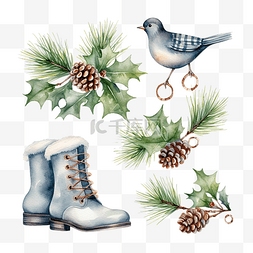 冬季树枝插画图片_水彩圣诞冬季套装冬季鸟类溜冰鞋