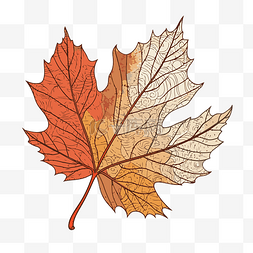 秋天叶子轮廓剪贴画枫叶与矢量卡